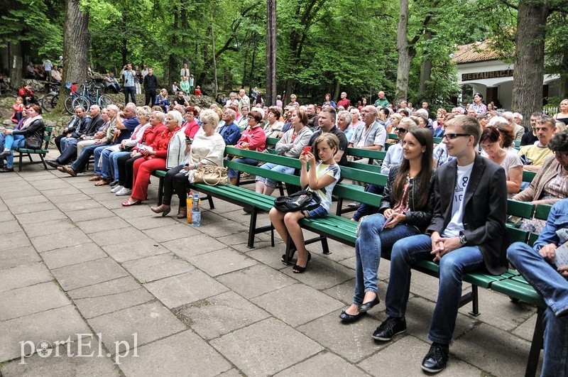 A w lesie grają! zdjęcie nr 91015