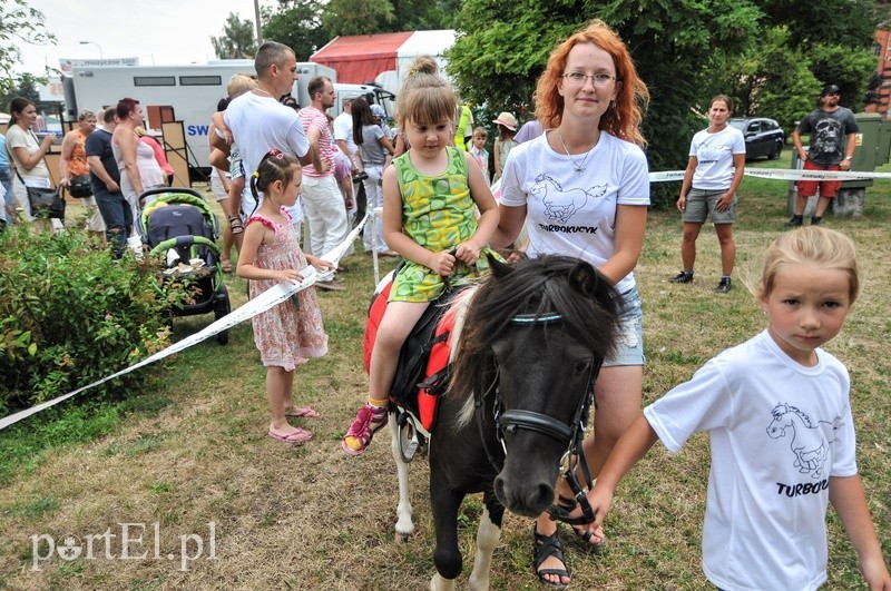 Gdy będę duży zostanę policjantem… zdjęcie nr 91703