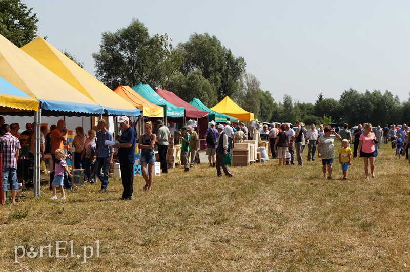XII Targi Pszczelarskie i Tradycyjnej Żywności w Karczowiskach zdjęcie nr 91949