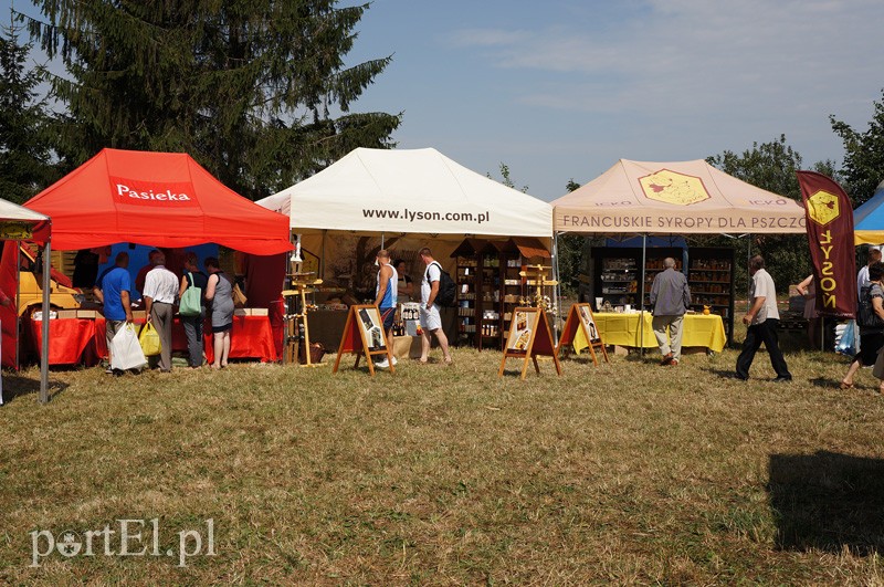 XII Targi Pszczelarskie i Tradycyjnej Żywności w Karczowiskach zdjęcie nr 91928