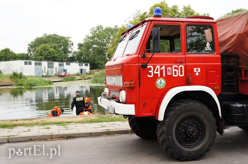 Zanieczyszczenie rzeki Elbląg zdjęcie nr 92018