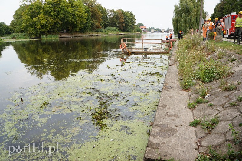 Zanieczyszczenie rzeki Elbląg zdjęcie nr 92009
