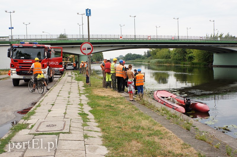 Zanieczyszczenie rzeki Elbląg zdjęcie nr 92005