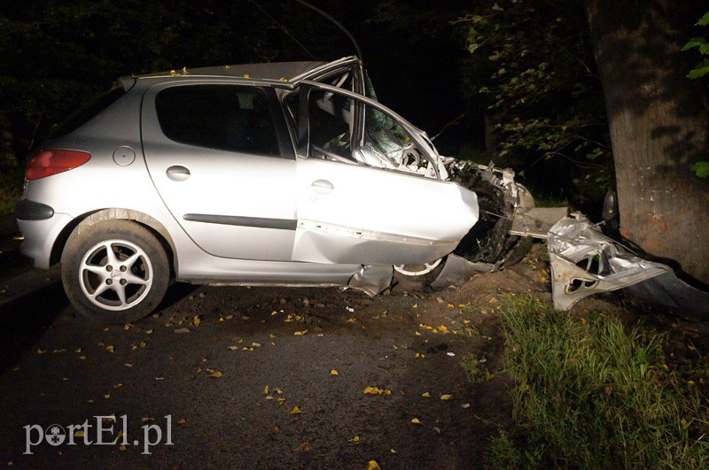 Elbląg Peugeotem w drzewo: kierowca w szpitalu