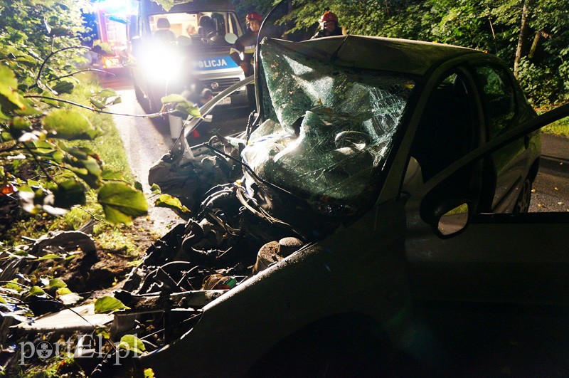 Peugeotem w drzewo: kierowca w szpitalu zdjęcie nr 92039