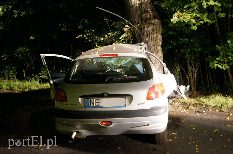 Peugeotem w drzewo: kierowca w szpitalu zdjęcie nr 92037