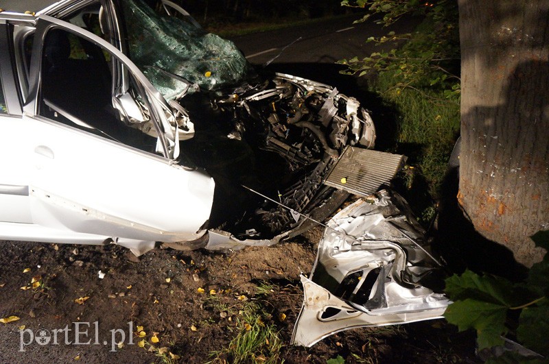 Peugeotem w drzewo: kierowca w szpitalu zdjęcie nr 92040