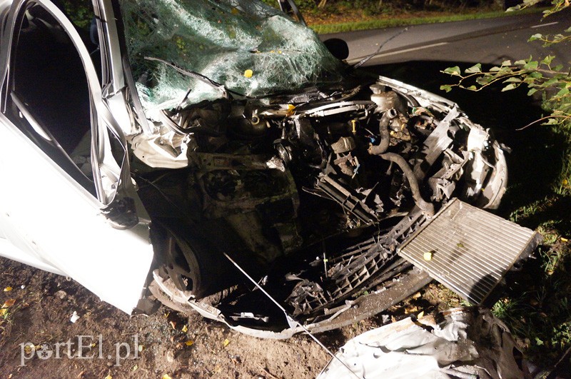 Peugeotem w drzewo: kierowca w szpitalu zdjęcie nr 92034