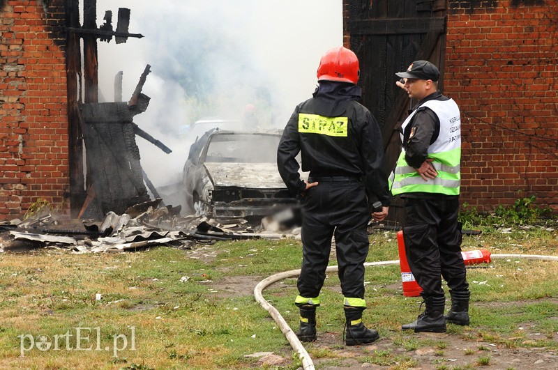Pożar w Bażantarni zdjęcie nr 92079