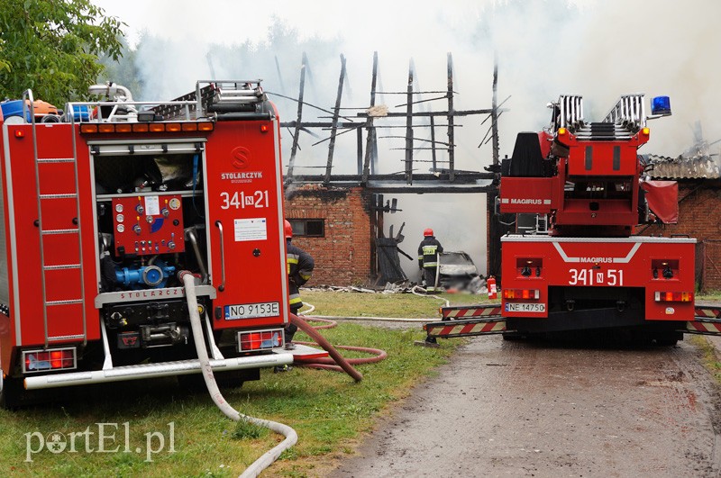 Pożar w Bażantarni zdjęcie nr 92075