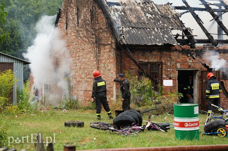 Pożar w Bażantarni zdjęcie nr 92073