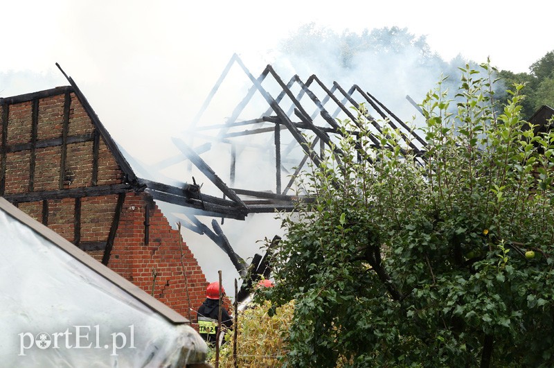 Pożar w Bażantarni zdjęcie nr 92078