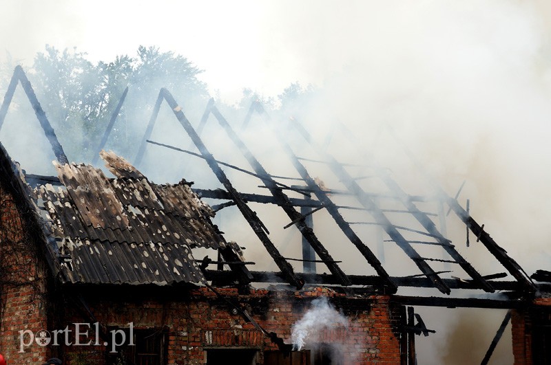 Pożar w Bażantarni zdjęcie nr 92074