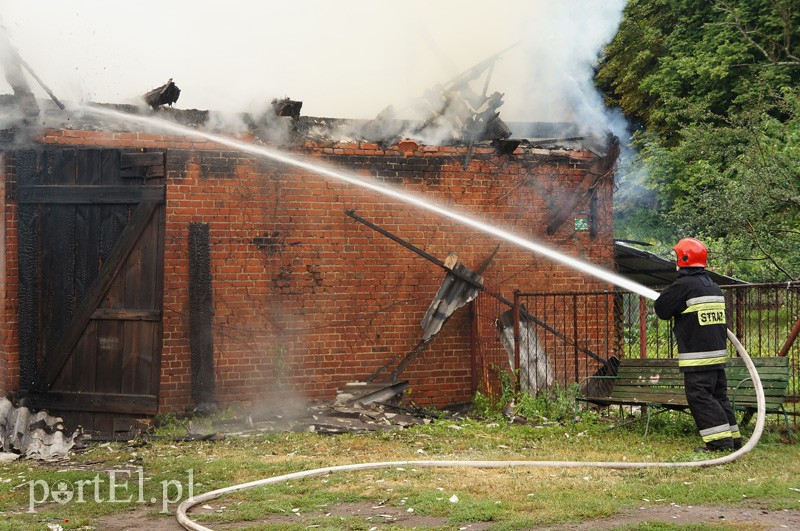 Pożar w Bażantarni zdjęcie nr 92082