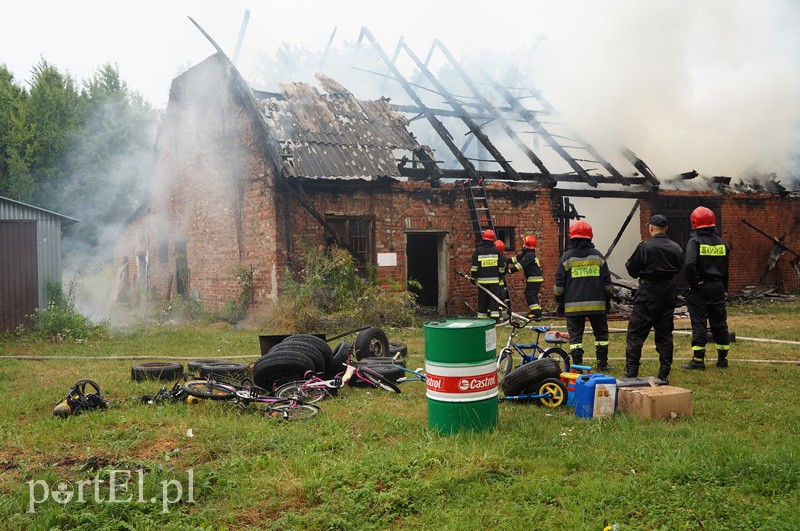 Pożar w Bażantarni zdjęcie nr 92083
