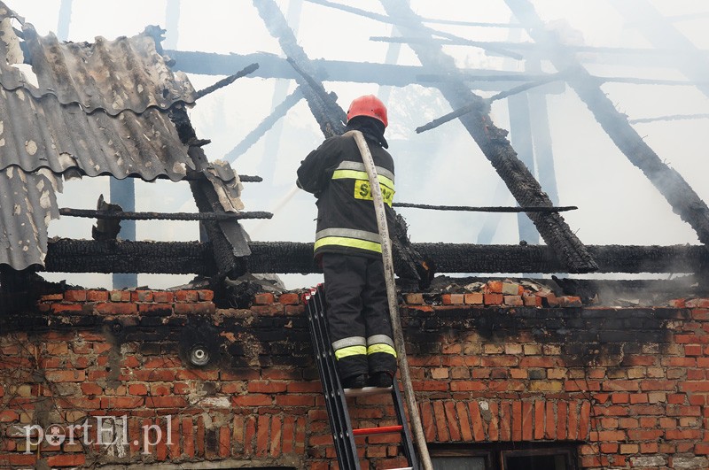 Pożar w Bażantarni zdjęcie nr 92084