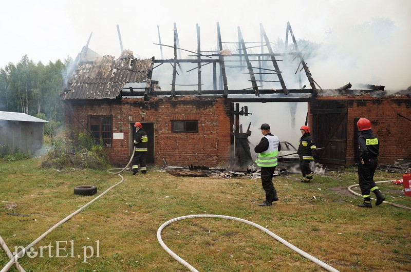 Pożar w Bażantarni zdjęcie nr 92081