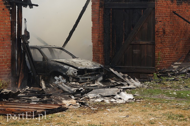 Pożar w Bażantarni zdjęcie nr 92085