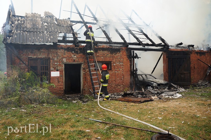 Pożar w Bażantarni zdjęcie nr 92086