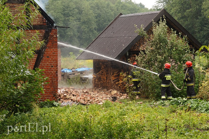 Pożar w Bażantarni zdjęcie nr 92077