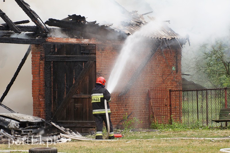 Pożar w Bażantarni zdjęcie nr 92072