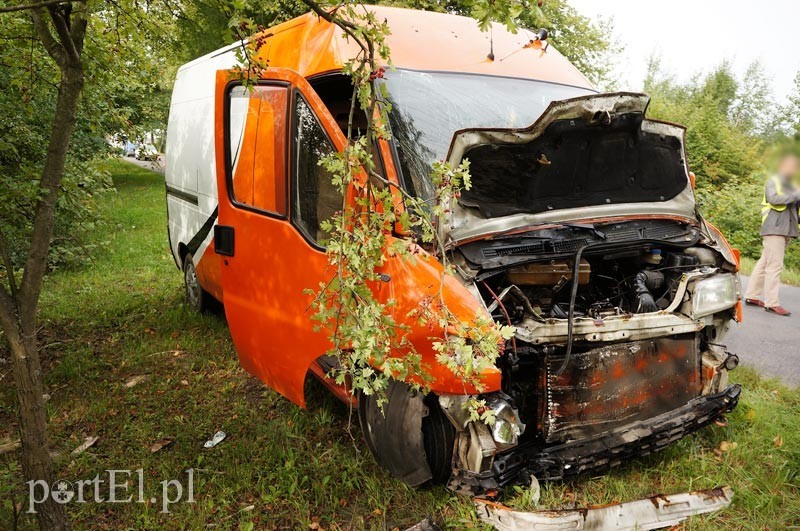 Dąbrowa Kolonia: autem dostawczym w drzewo zdjęcie nr 92509