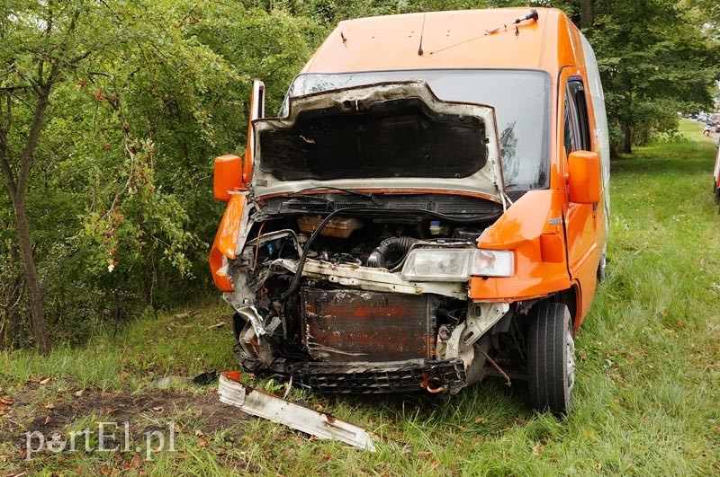 Dąbrowa Kolonia: autem dostawczym w drzewo zdjęcie nr 92505