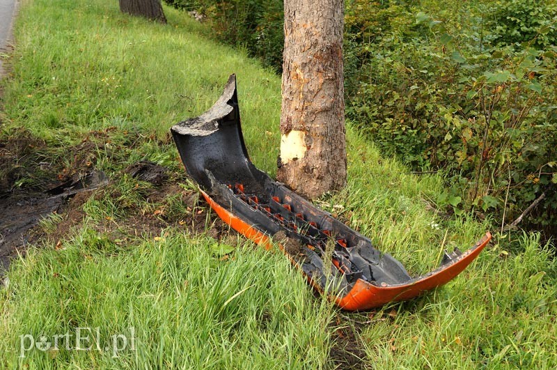 Dąbrowa Kolonia: autem dostawczym w drzewo zdjęcie nr 92506