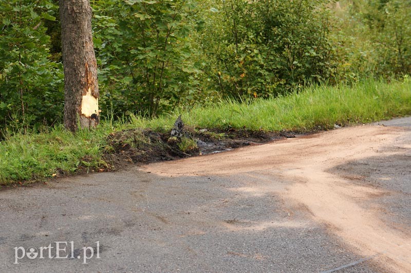 Dąbrowa Kolonia: autem dostawczym w drzewo zdjęcie nr 92513