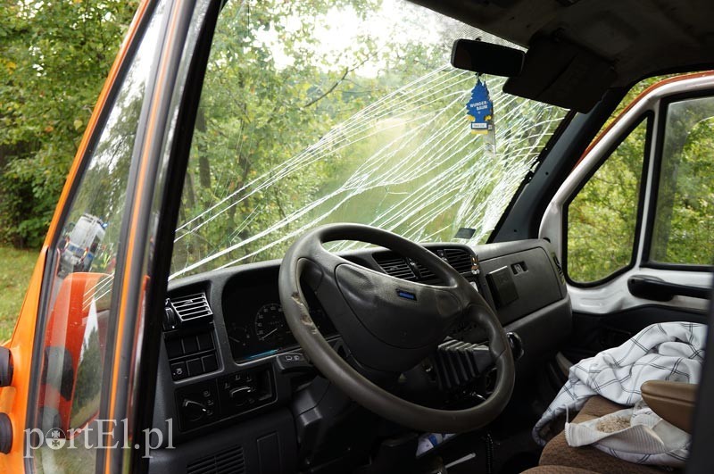 Dąbrowa Kolonia: autem dostawczym w drzewo zdjęcie nr 92512