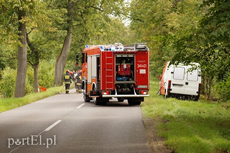 Elbląg Dąbrowa Kolonia: autem dostawczym w drzewo