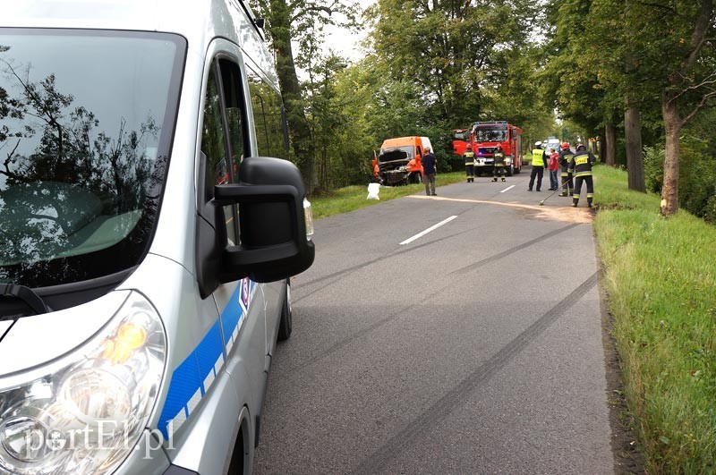 Dąbrowa Kolonia: autem dostawczym w drzewo zdjęcie nr 92511