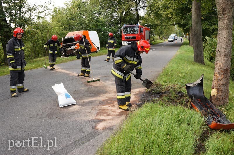Dąbrowa Kolonia: autem dostawczym w drzewo zdjęcie nr 92507