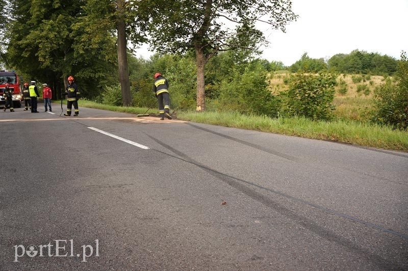 Dąbrowa Kolonia: autem dostawczym w drzewo zdjęcie nr 92510