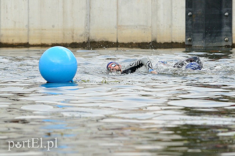 Pływają aż miło. Kibice nie zawiedli zdjęcie nr 92562
