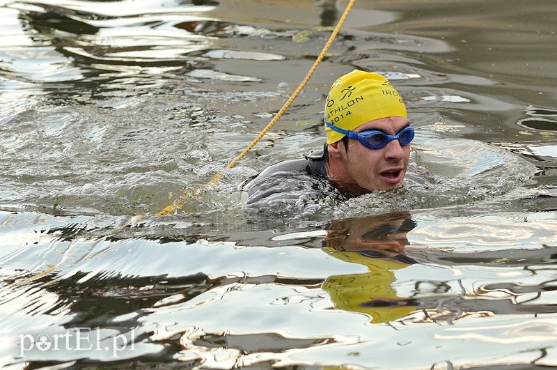 Pływają aż miło. Kibice nie zawiedli zdjęcie nr 92545