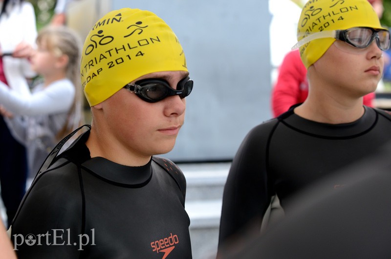 Pływają aż miło. Kibice nie zawiedli zdjęcie nr 92532