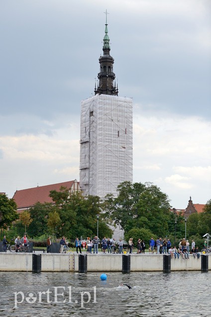 Pływają aż miło. Kibice nie zawiedli zdjęcie nr 92565