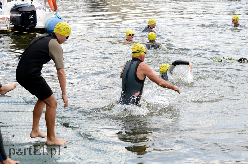 Pływają aż miło. Kibice nie zawiedli zdjęcie nr 92535