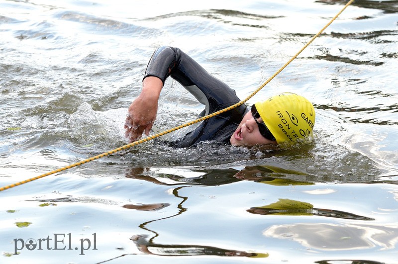 Pływają aż miło. Kibice nie zawiedli zdjęcie nr 92547