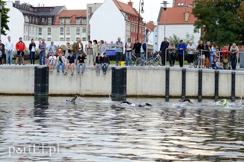 Pływają aż miło. Kibice nie zawiedli zdjęcie nr 92561