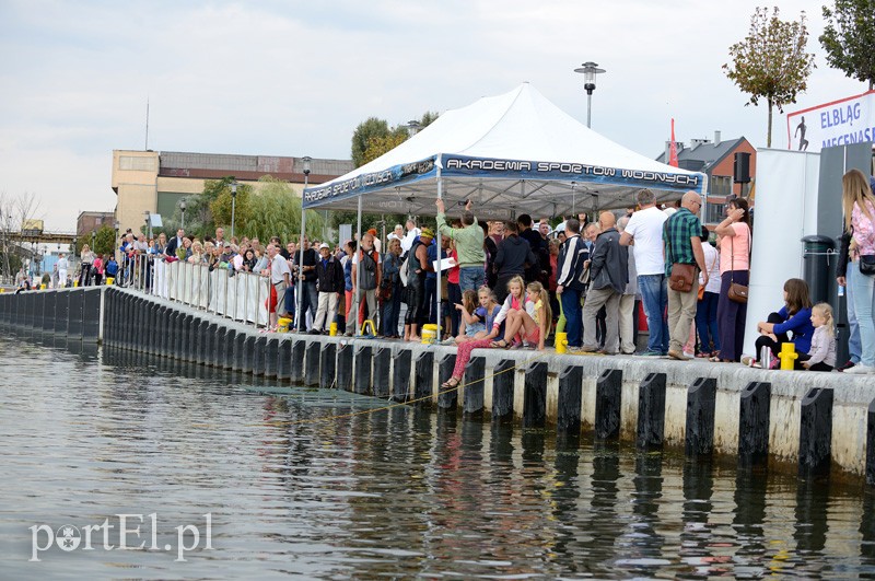 Pływają aż miło. Kibice nie zawiedli zdjęcie nr 92552