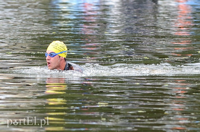 Pływają aż miło. Kibice nie zawiedli zdjęcie nr 92541