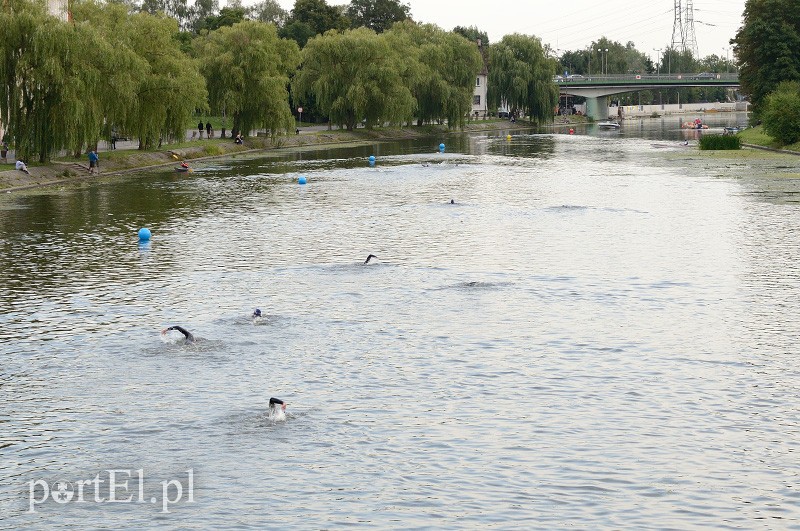 Pływają aż miło. Kibice nie zawiedli zdjęcie nr 92567