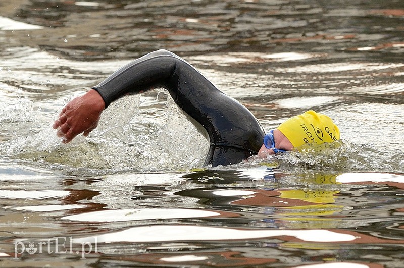 Pływają aż miło. Kibice nie zawiedli zdjęcie nr 92544