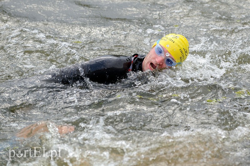 Pływają aż miło. Kibice nie zawiedli zdjęcie nr 92538