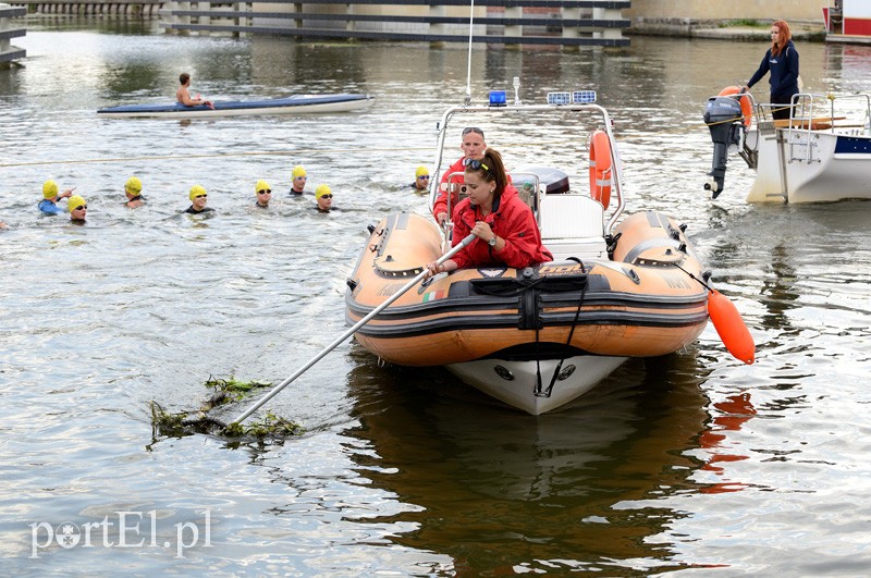 Pływają aż miło. Kibice nie zawiedli zdjęcie nr 92536