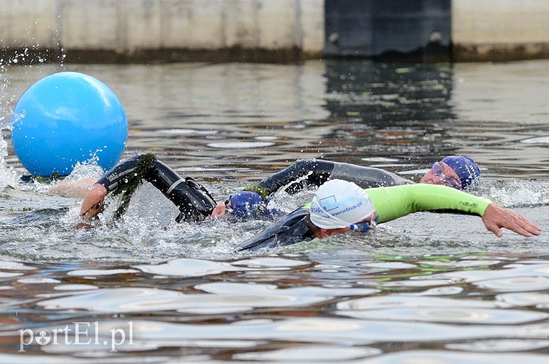 Pływają aż miło. Kibice nie zawiedli zdjęcie nr 92564