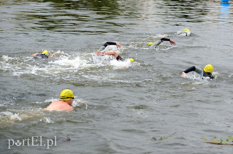 Pływają aż miło. Kibice nie zawiedli zdjęcie nr 92539