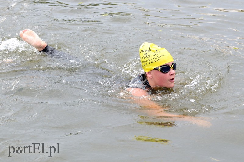 Pływają aż miło. Kibice nie zawiedli zdjęcie nr 92548